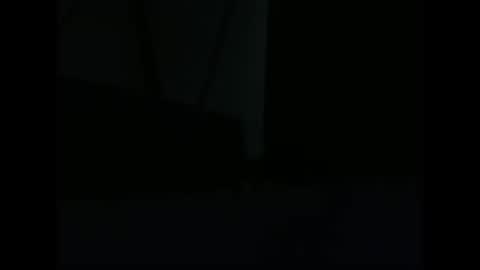 vendi1 online show from December 2024 09:52:02 AM