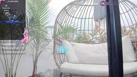 VENUS online show from January 2026 05:27:02 PM