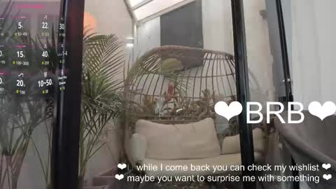 Snapshot of venus_flame chatting on January 2026 11:36:01 AM VENUS online show from January 2026 11:36:01 AM