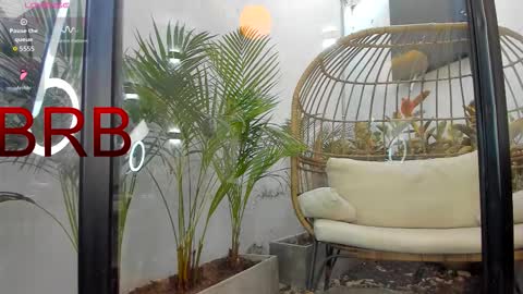 Snapshot of venus_flame chatting on February 2026 01:20:02 PM VENUS online show from February 2026 01:20:02 PM