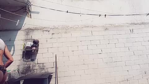 Vero Alva online show from January 2025 05:17:01 PM