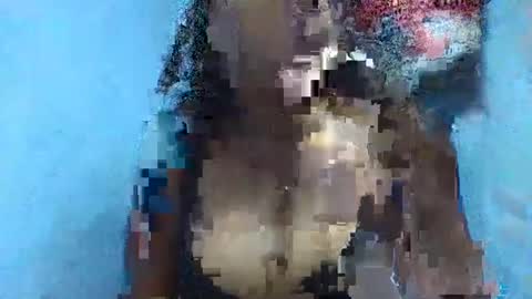 verolla31 online show from February 2025 08:08:02 PM