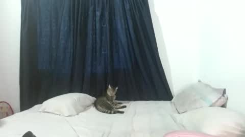 veronicagracia2531 online show from November 2025 09:09:02 PM