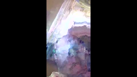 Snapshot of veronika456 chatting on June 2026 08:01:02 AM veronika456 online show from June 2026 08:01:02 AM