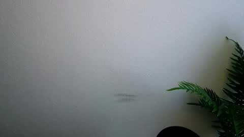 Snapshot of veryveryshygirl chatting on February 2026 09:14:02 AM Ana online show from February 2026 09:14:02 AM