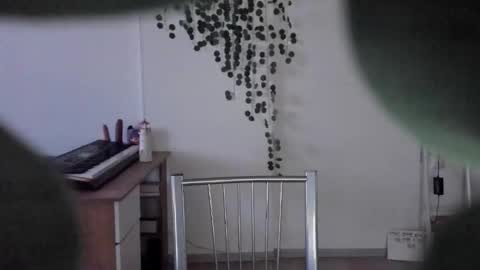 Celeste online show from March 2026 11:49:01 AM