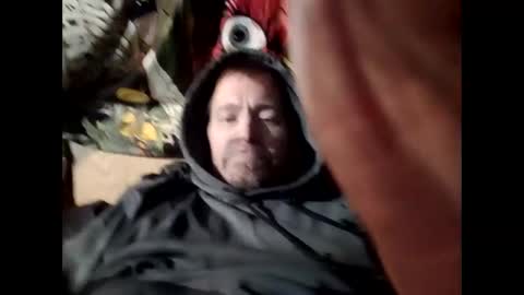 Snapshot of vex881 chatting on December 2024 08:51:02 AM Vex online show from December 2024 08:51:02 AM