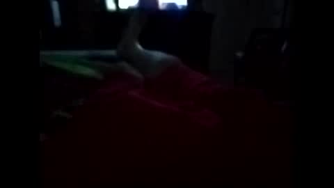 Snapshot of viciouzz1 chatting on November 2025 11:27:02 PM viciouzz1 online show from November 2025 11:27:02 PM