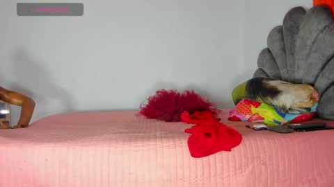Snapshot of vicky_hotteei chatting on May 2026 08:30:02 AM vicky manuela online show from May 2026 08:30:02 AM