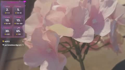 vickyvalencia2 online show from July 2026 01:09:01 AM
