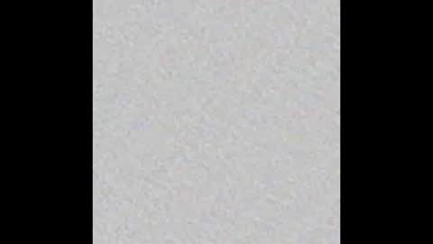 Victoria Collins online show from October 2025 12:08:02 PM