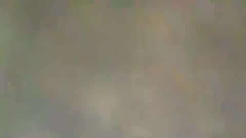 viennaguy79 online show from March 2026 07:47:02 AM