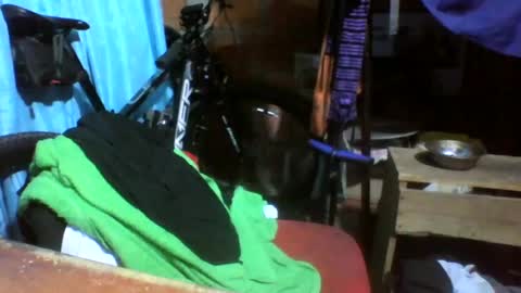 viernes1010 online show from June 2026 03:03:01 PM