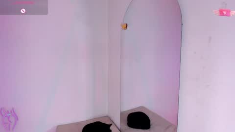Snapshot of viioleett_cum chatting on July 2026 05:04:02 PM viioleett_cum online show from July 2026 05:04:02 PM
