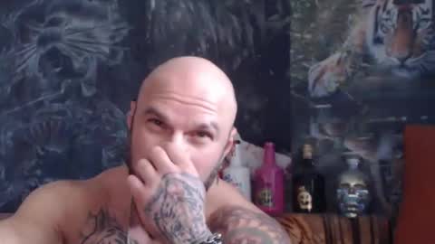 viking online show from November 2025 11:10:01 AM