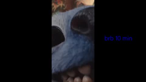 vinkitinkii online show from February 2026 04:50:02 AM