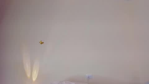 violett_24_ online show from November 2025 11:30:01 PM