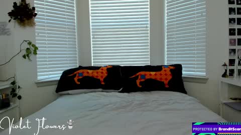 Snapshot of violetttflowers chatting on January 2025 06:13:02 PM Violet Flowers online show from January 2025 06:13:02 PM