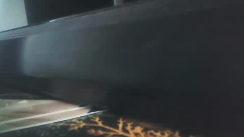 vip_90_daniele online show from December 2025 10:54:02 AM