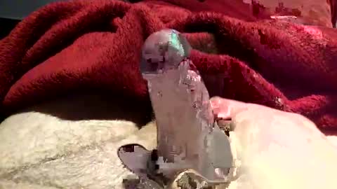 virtual_hand_player online show from January 2025 06:36:02 PM