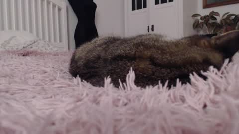 Visceratio online show from February 2025 09:15:02 PM