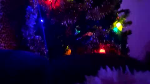 Vivi online show from January 2026 11:43:01 PM