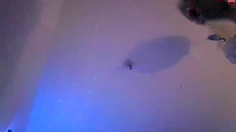 vivianvagina2026 online show from April 2026 12:10:01 AM