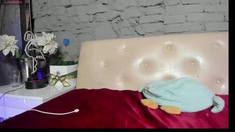 Snapshot of vixvixenn chatting on March 2025 11:25:02 AM ANA online show from March 2025 11:25:02 AM