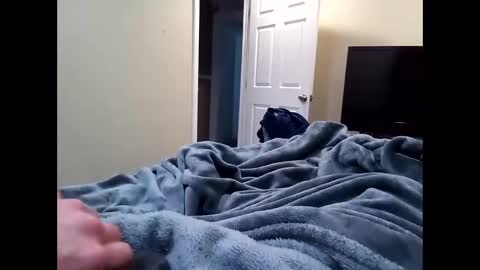 Snapshot of vladedivac1998 chatting on February 2026 02:28:01 PM vladedivac1998 online show from February 2026 02:28:01 PM