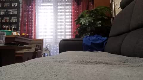 vlami69 online show from November 2025 08:40:01 AM