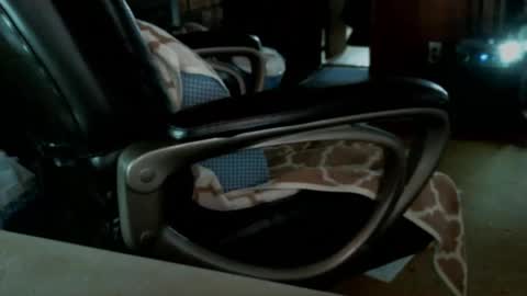 vnpg92 online show from December 2024 09:32:02 PM