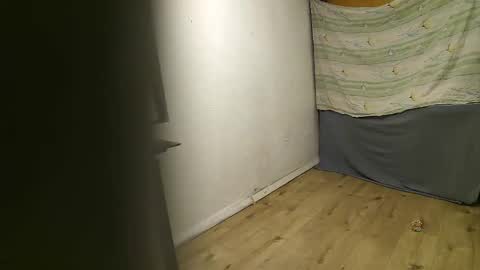 Snapshot of vpetkah chatting on November 2025 06:01:01 AM vpetkah online show from November 2025 06:01:01 AM