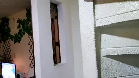 Snapshot of waningrosee chatting on January 2025 02:25:01 AM Waningrose  Lu online show from January 2025 02:25:01 AM