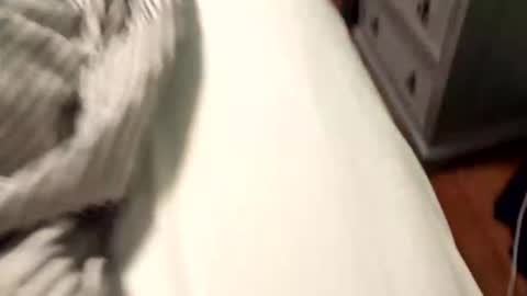 wannacam237 online show from April 2026 08:01:02 PM