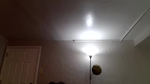 wantstoperform online show from November 2025 12:16:02 PM