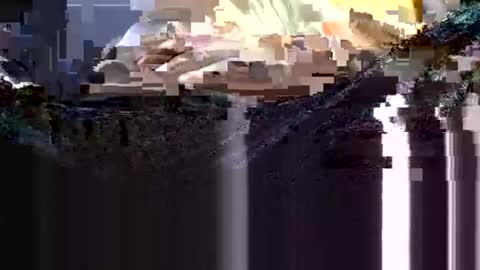 wanttowatch87 online show from February 2025 03:51:01 AM