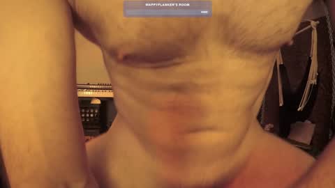 wappyflanker online show from December 2024 02:54:02 PM