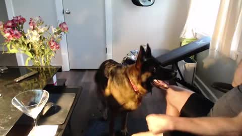 wasted_daze_ online show from March 2026 10:38:01 PM