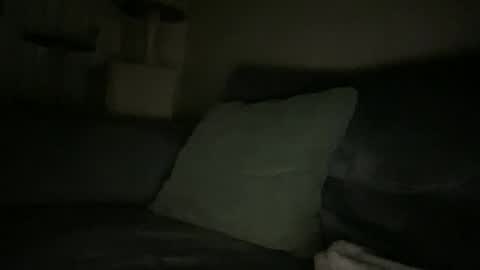 waveonce online show from November 2025 08:28:01 AM