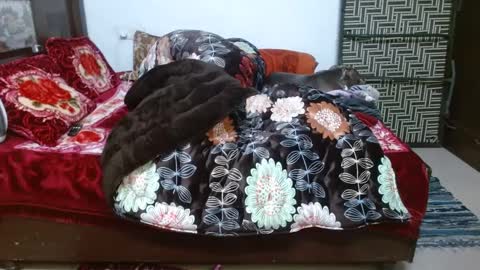 Snapshot of we_are_indian chatting on December 2024 12:08:02 PM khushiwife kabirhubby kavyasexy gf online show from December 2024 12:08:02 PM