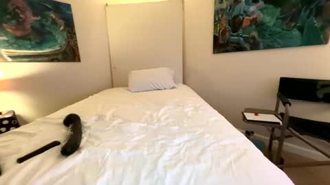 Snapshot of webcameraon chatting on March 2026 07:38:01 AM Retainer Forever Solo Album online show from March 2026 07:38:01 AM