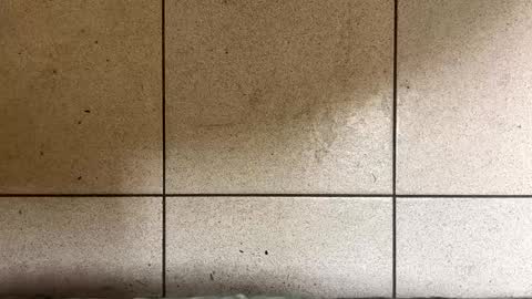 Snapshot of webchatter99 chatting on January 2025 07:33:02 AM webchatter99 online show from January 2025 07:33:02 AM