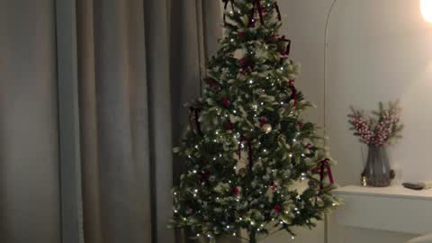 CAREN online show from January 2025 12:47:02 PM