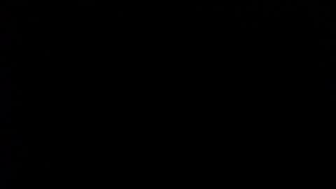 wellingtont online show from February 2026 11:36:02 PM