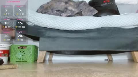 Wendy online show from January 2025 02:45:01 PM