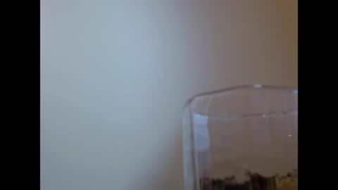 TaTis online show from May 2026 02:04:01 PM