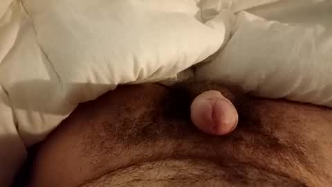 Werty online show from December 2024 11:47:01 PM