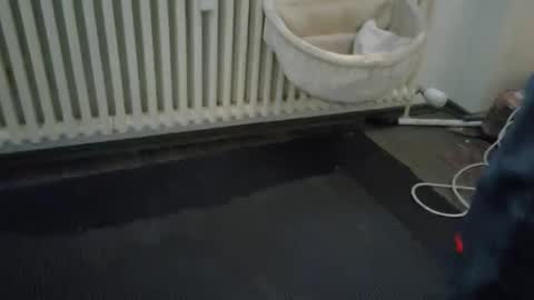 Wetgerman online show from March 2025 03:45:02 PM