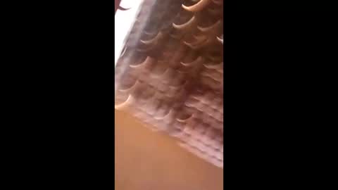 wgebnnrfodwt online show from April 2026 07:01:02 PM