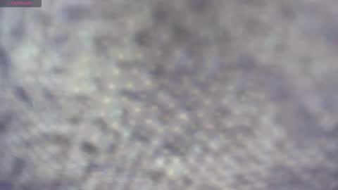 white_sexy_ online show from March 2026 08:57:01 PM